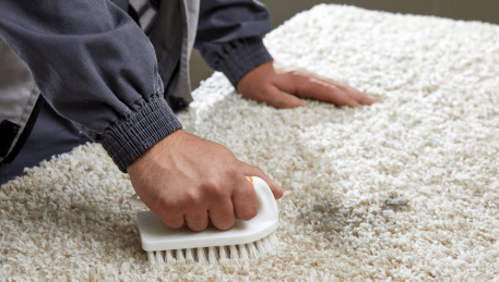 Professional Rug Cleaning Armstrong Creek